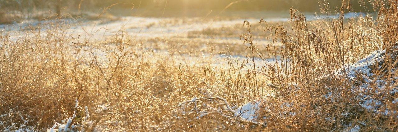 Booster son énergie en hiver : 5 rituels matinaux essentiels pour bien démarrer