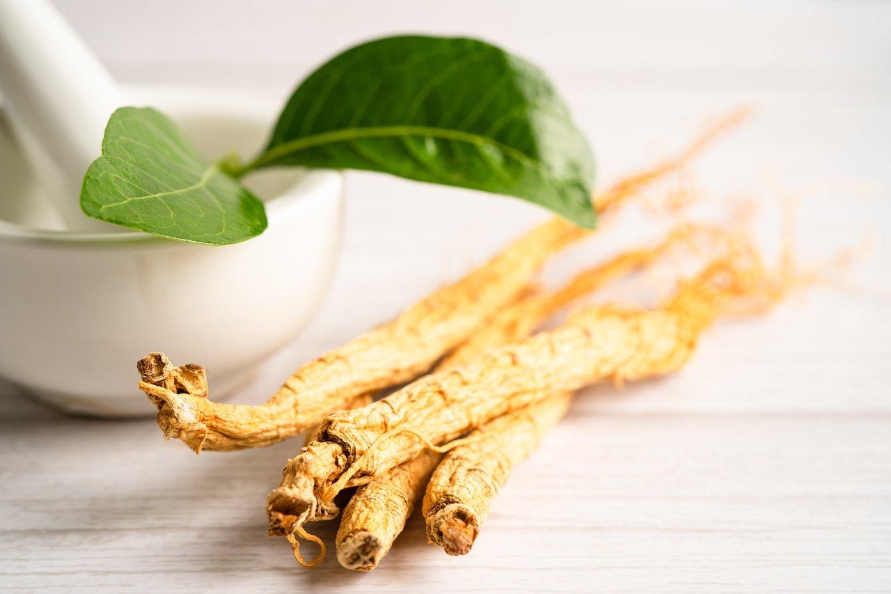 Guide d'achat 2026 : choisir un ginseng rouge bio origine contrôlée