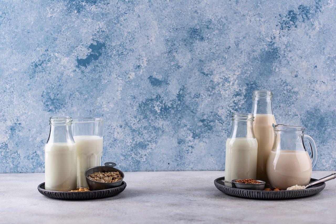 Menus équilibrés sans lactose : exemples et alternatives efficaces pour une semaine