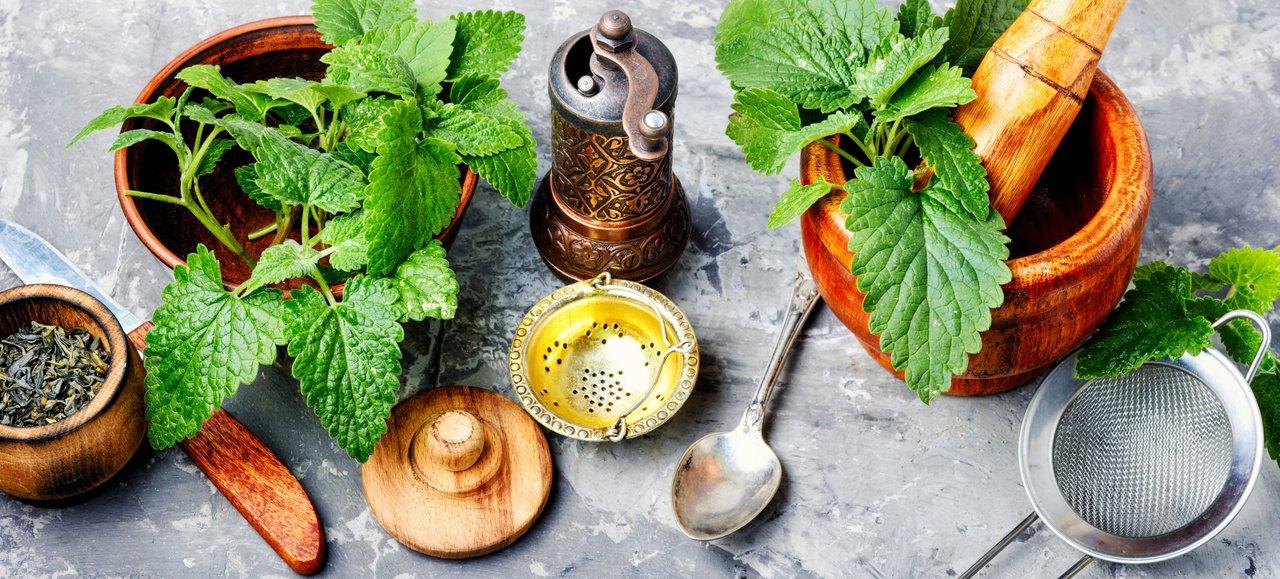 Diffuseur d’huile essentielle de mélisse dans un cadre zen, idéal pour apaiser le stress au quotidien.