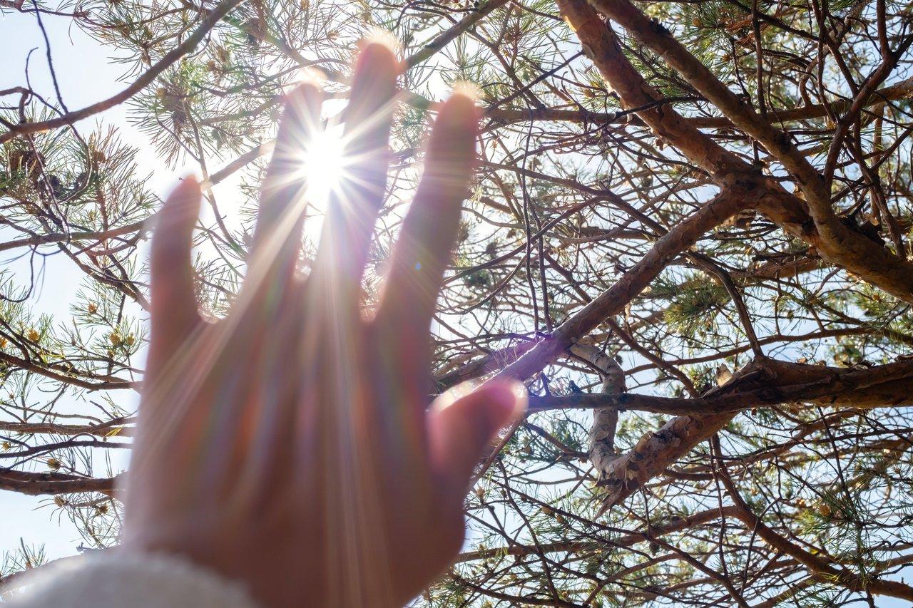 Étirements matinaux doux au soleil pour booster son énergie en hiver, capturant la lumière naturelle et la sérénité.