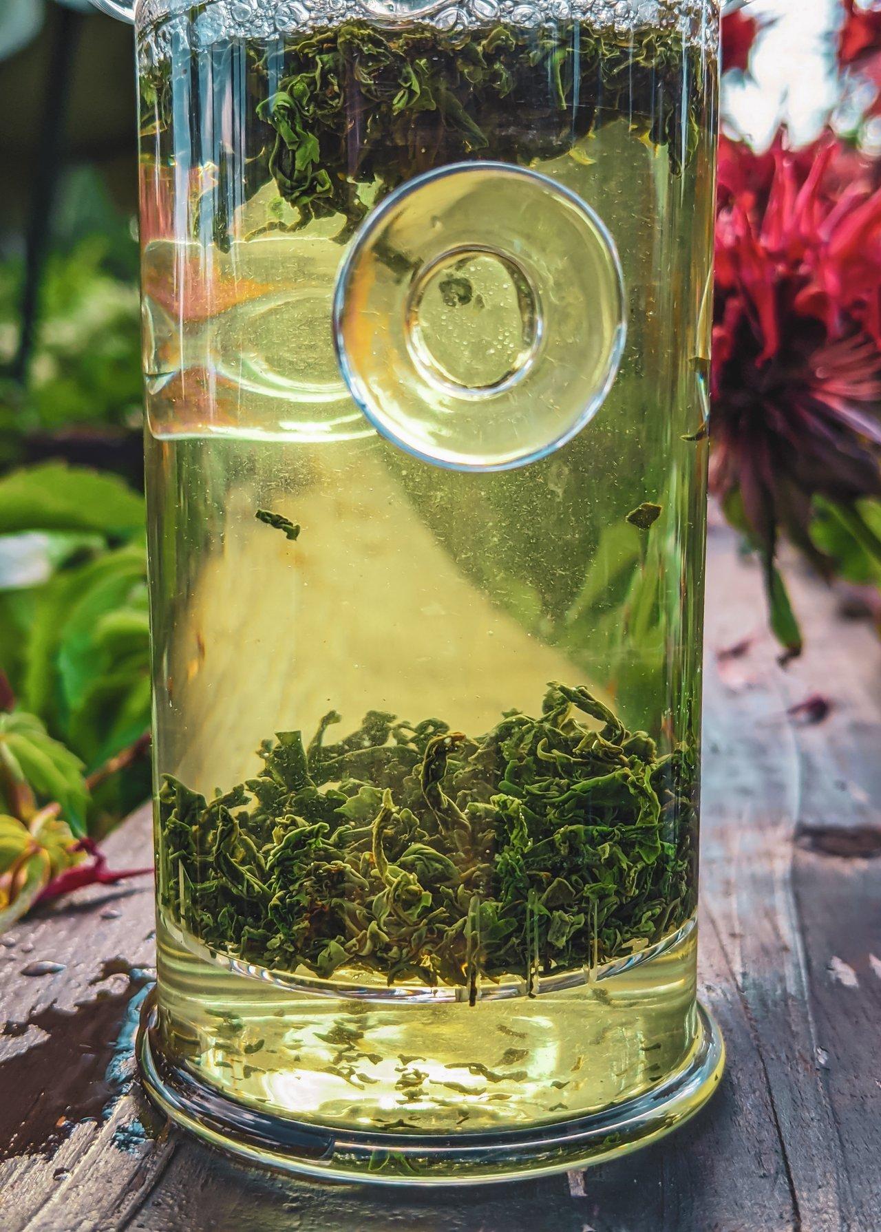 Infusion de tisane bio dans un verre en verre, idéale pour un moment relaxant et apaisant.