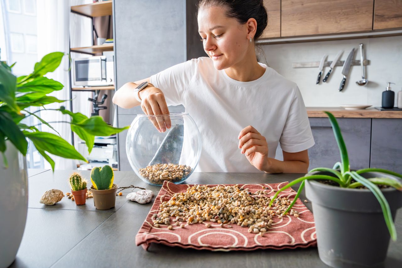 Illustration de Le Comptoir des 3 Moulins