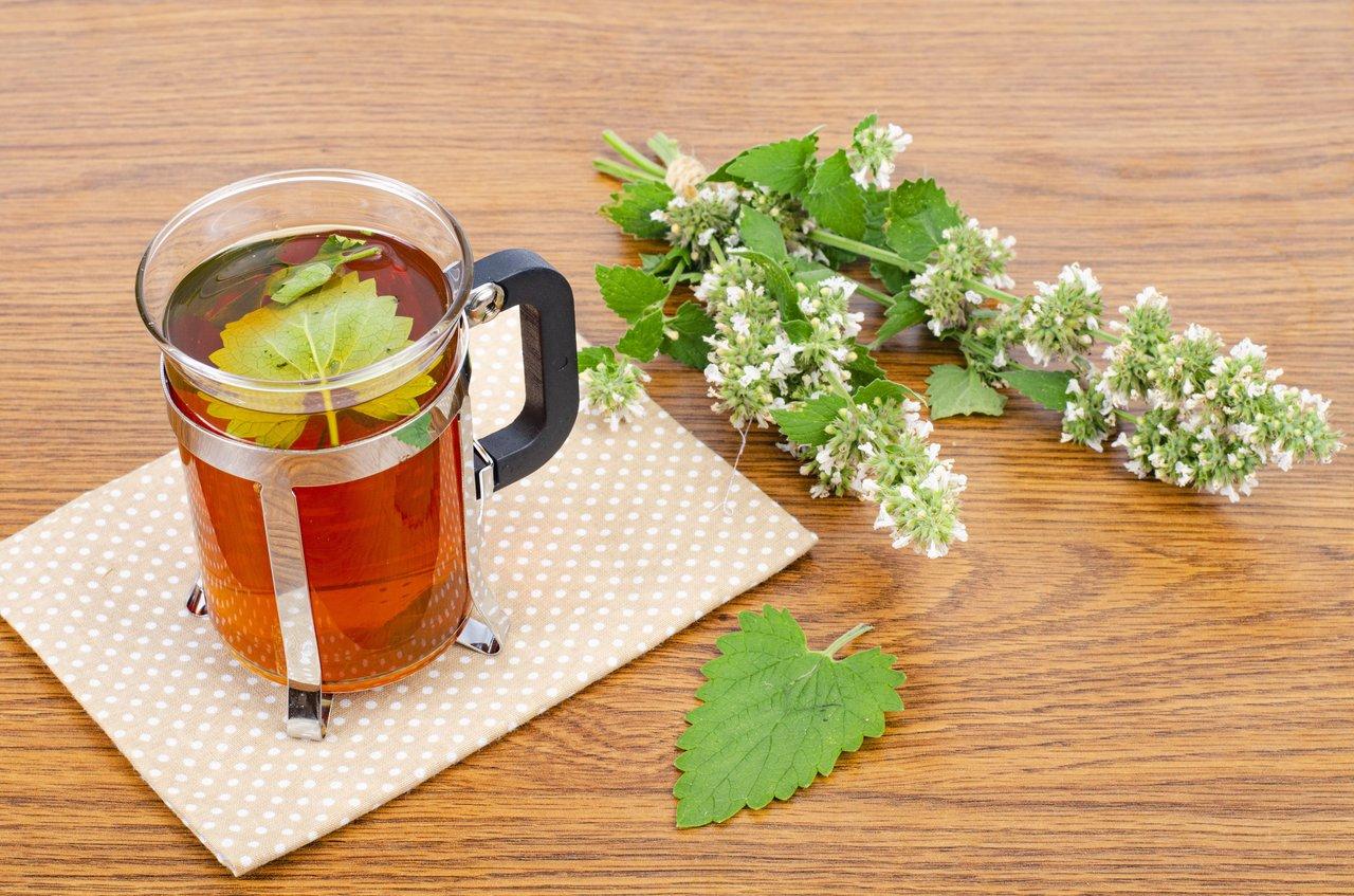 Tasse de lemon balm tea fumante avec feuilles séchées pour apaiser le stress naturellement.