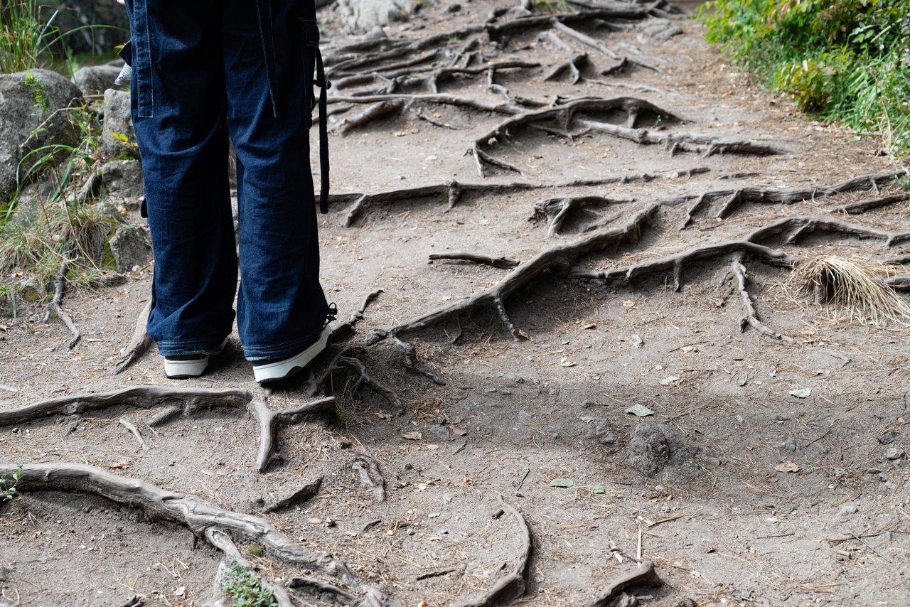 Une personne grounded dans la nature, debout sur un sentier forestier pour mieux gérer son stress au quotidien.